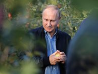 Президент РФ Владимир Путин во время посещения яблоневых садов Президент РФ Владимир Путин во время посещения яблоневых садов