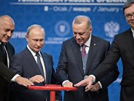 Рабочий визит президента РФ В. Путина в Турецкую Республику Рабочий визит президента РФ В. Путина в Турецкую Республику