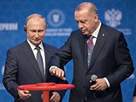 Рабочий визит президента РФ В. Путина в Турецкую Республику Рабочий визит президента РФ В. Путина в Турецкую Республику