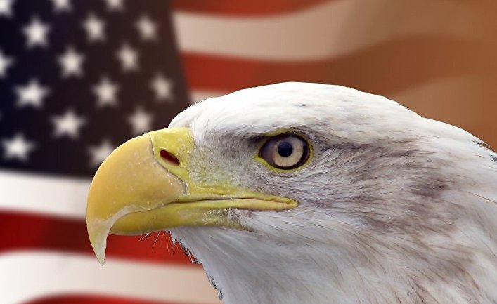 Орел и американский флаг