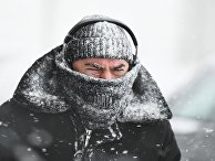Снегопад в Москве Снегопад в Москве