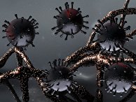ДНК и коронавирус ДНК и коронавирус