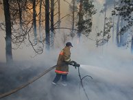 Пожар в зоне отчуждения Чернобыльской АЭС Пожар в зоне отчуждения Чернобыльской АЭС
