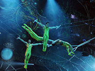 Репетиция шоу Zarkana Cirque du Soleil в Кремле Репетиция шоу Zarkana Cirque du Soleil в Кремле
