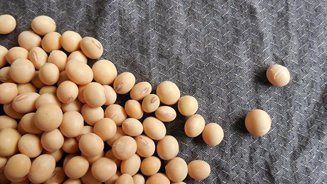 Al Jazeera (Катар): нут, фасоль и бобы. Почему их считают мясом для умных