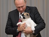 Президент РФ В. Путин встретился с президентом Туркмении Г. Бердымухамедовым Президент РФ В. Путин встретился с президентом Туркмении Г. Бердымухамедовым