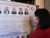 Женщина около информационного стенда во время досрочного голосования на выборах губернатора Краснодарского края Женщина около информационного стенда во время досрочного голосования на выборах губернатора Краснодарского края