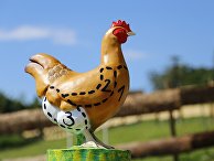 Изображение курицы Изображение курицы