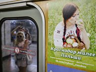 Плакат "Краснодар милее Польши" группы социальной сети "ВКонтакте" "Выбери русское" Плакат "Краснодар милее Польши" группы социальной сети "ВКонтакте" "Выбери русское"