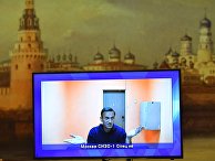 Рассмотрение жалобы на арест А. Навального Рассмотрение жалобы на арест А. Навального