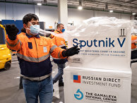 Доставка вакцины Sputnik V на склад в грузовой терминал "Москва Карго" Доставка вакцины Sputnik V на склад в грузовой терминал "Москва Карго"