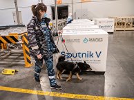 Доставка вакцины Sputnik V на склад в грузовой терминал "Москва Карго" Доставка вакцины Sputnik V на склад в грузовой терминал "Москва Карго"
