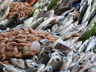 Прилавок с морепродуктами Прилавок с морепродуктами