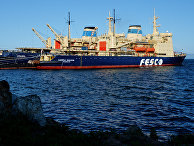 Ледоколы компании FESCO во Владивостоке Ледоколы компании FESCO во Владивостоке