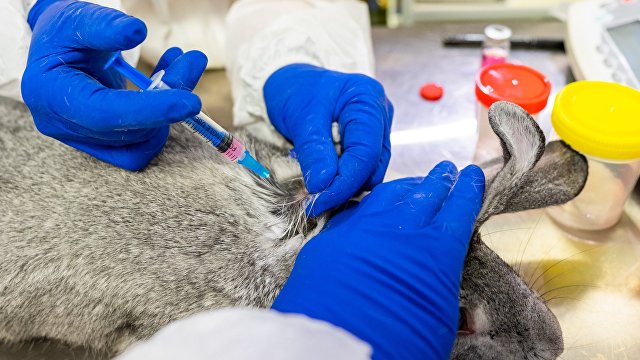 The Times (Великобритания): Россия обещает, что первая вакцина от коронавируса для животных поборется со штаммами-мутантами