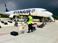 Кинолог проверяет багаж пассажиров самолета Ryanair Boeing 737-8AS на перроне международного аэропорта Минск Кинолог проверяет багаж пассажиров самолета Ryanair Boeing 737-8AS на перроне международного аэропорта Минск