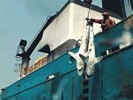 Фильм, после которого тысячи людей перестали есть рыбу Фильм, после которого тысячи людей перестали есть рыбу