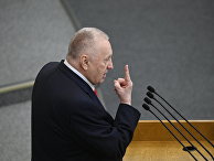 Руководитель фракции ЛДПР в Государственной Думе РФ Владимир Жириновский Руководитель фракции ЛДПР в Государственной Думе РФ Владимир Жириновский