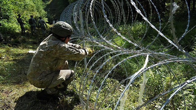 Der Spiegel (Германия): Литва просит у ЕС помощи в охране границы