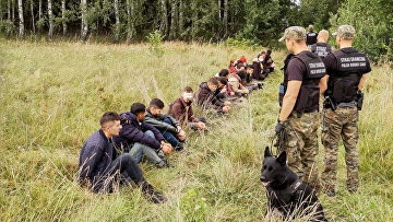 Польские пограничники задержали людей, пытавшихся незаконно пересечь границу